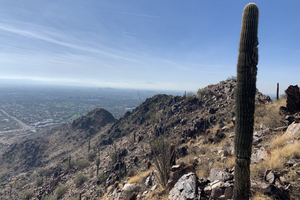 Photo of a desert landscape with a cactus, mountainous hills, plants, greenery, rocks, etc.