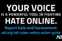 Image of ADL Cyber Safety Action Guide