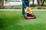 Image of a Lawn Mower on Grass