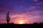 Stock image of a desert sunset