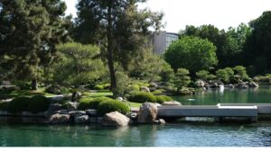 photo of the Japanese Friendship Garden in Phoenix, Arizona featuring water, trees and greenery