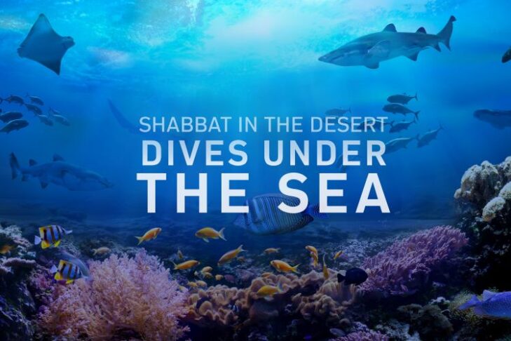 Image under the sea with the words "Shabbat in the Desert Dives Under the Sea' displayed across it