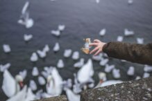 Stock image of a child throwing bread into a pond of awaiting ducks