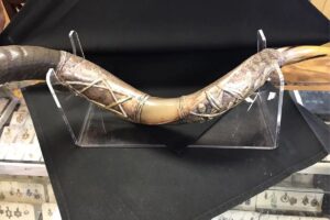 Photo of a shofar for sale at Mazel Tov Gifts Judaica shop