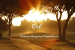 An image of a park at dusk with the words Elul Holiness Requires Preparation