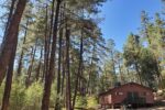 camp cabin photo
