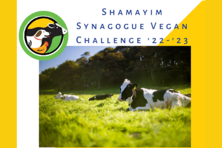 Synagogue Vegan Challenge