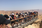 Group of Honeymoon Israel Participants standing on a bridge in Israel